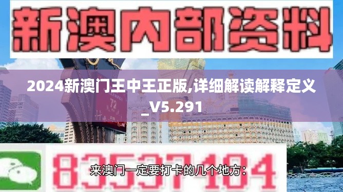2024新澳门王中王正版,详细解读解释定义_V5.291