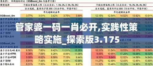管家婆一码一肖必开,实践性策略实施_探索版3.175