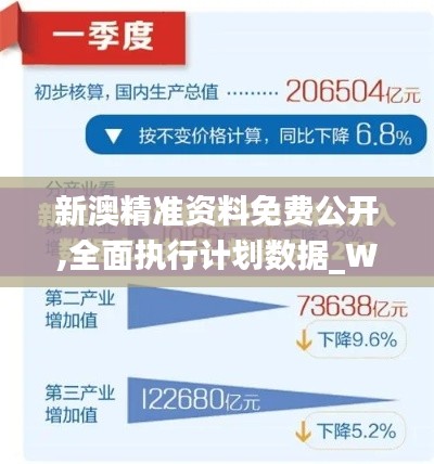 新澳精准资料免费公开,全面执行计划数据_W9.485