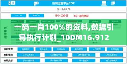 一码一肖100%的资料,数据引导执行计划_10DM16.912