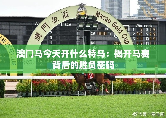 澳门马今天开什么特马：揭开马赛背后的胜负密码