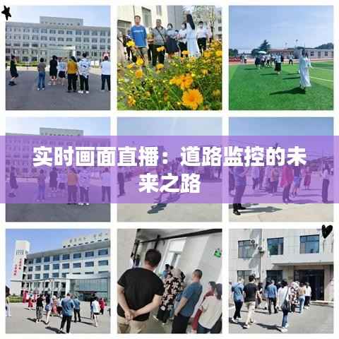 实时画面直播：道路监控的未来之路