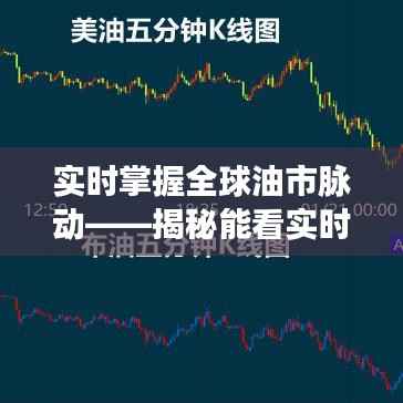 实时掌握全球油市脉动——揭秘能看实时国际原油价格的APP