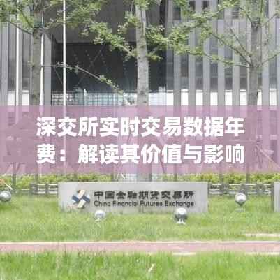 深交所实时交易数据年费：解读其价值与影响