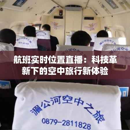 航班实时位置直播：科技革新下的空中旅行新体验