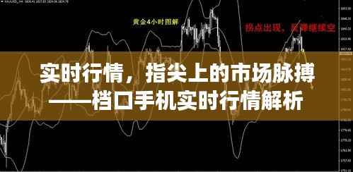 实时行情，指尖上的市场脉搏——档口手机实时行情解析