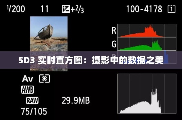 5D3 实时直方图：摄影中的数据之美