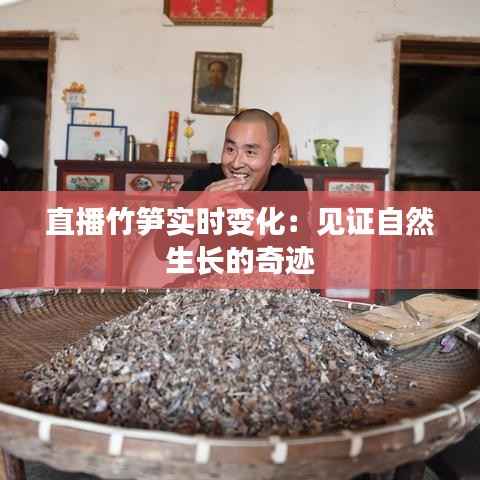 龙飞凤舞 第5页