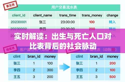 实时解读：出生与死亡人口对比表背后的社会脉动