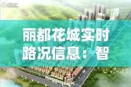 丽都花城实时路况信息：智慧出行，畅行无忧