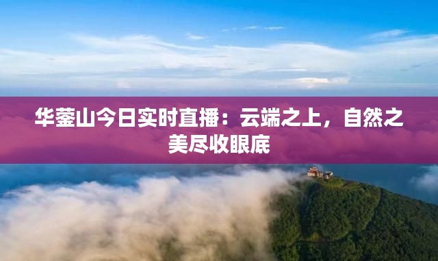华蓥山今日实时直播：云端之上，自然之美尽收眼底