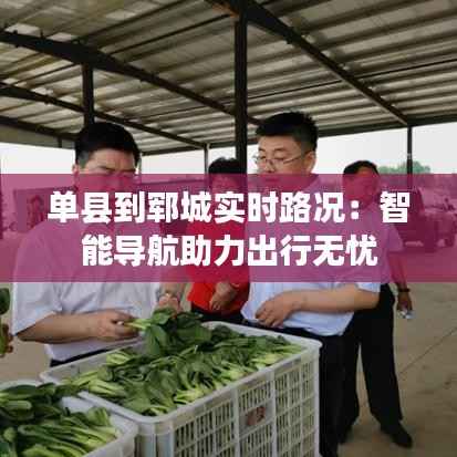 单县到郓城实时路况：智能导航助力出行无忧