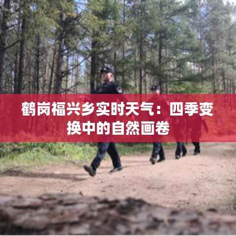 鹤岗福兴乡实时天气：四季变换中的自然画卷