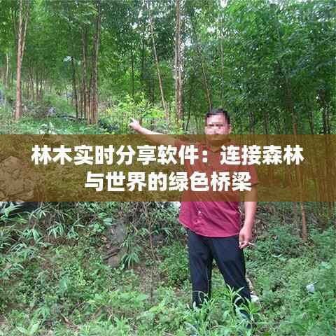 林木实时分享软件：连接森林与世界的绿色桥梁