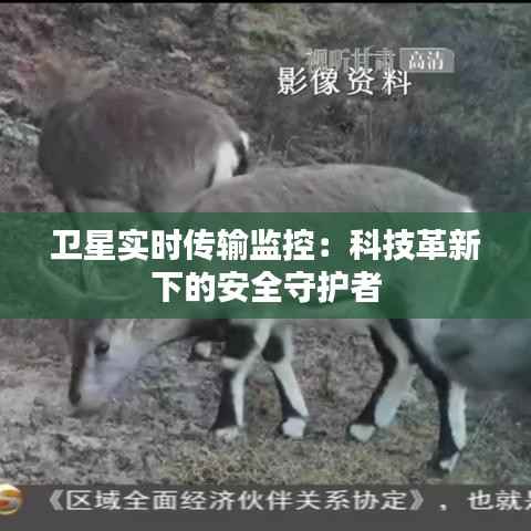 卫星实时传输监控：科技革新下的安全守护者