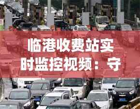 临港收费站实时监控视频：守护交通安全的智慧之眼