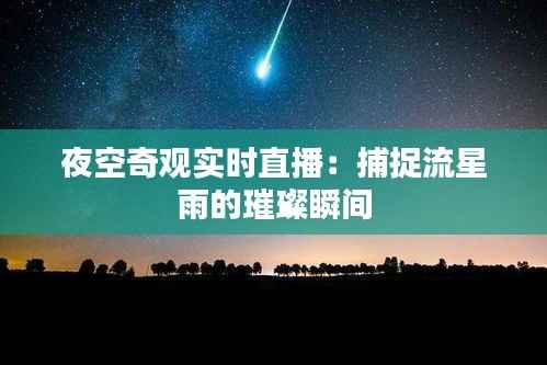 夜空奇观实时直播：捕捉流星雨的璀璨瞬间