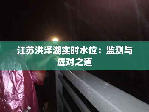 江苏洪泽湖实时水位：监测与应对之道