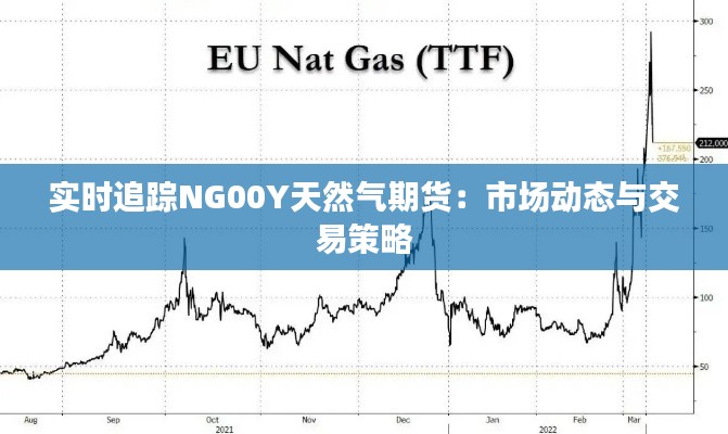 实时追踪NG00Y天然气期货：市场动态与交易策略