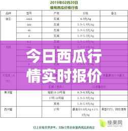 今日西瓜行情实时报价：市场动态与价格走势分析