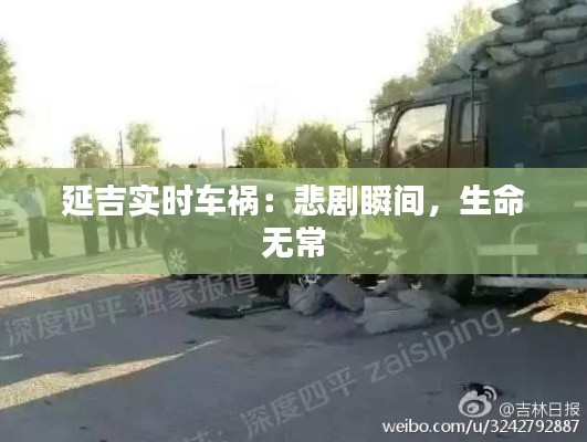 延吉实时车祸：悲剧瞬间，生命无常