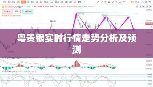 粤贵银实时行情走势分析及预测