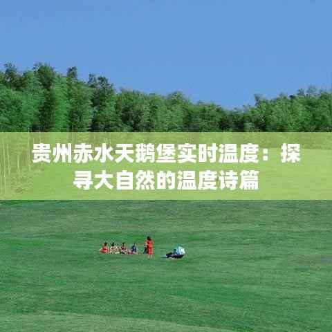 贵州赤水天鹅堡实时温度：探寻大自然的温度诗篇