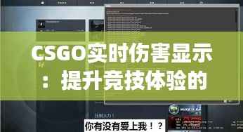 CSGO实时伤害显示：提升竞技体验的关键功能