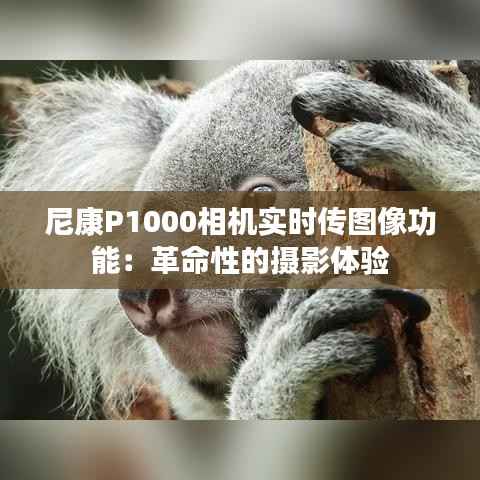 尼康P1000相机实时传图像功能：革命性的摄影体验
