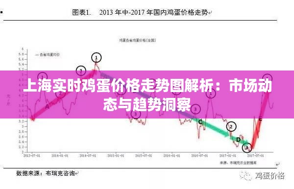 上海实时鸡蛋价格走势图解析：市场动态与趋势洞察