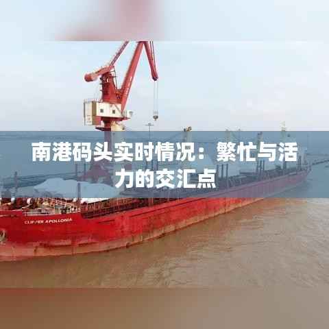 南港码头实时情况：繁忙与活力的交汇点