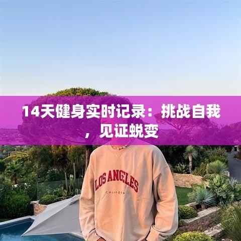 14天健身实时记录：挑战自我，见证蜕变