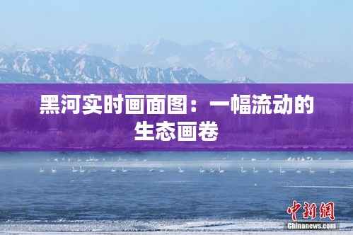 黑河实时画面图：一幅流动的生态画卷