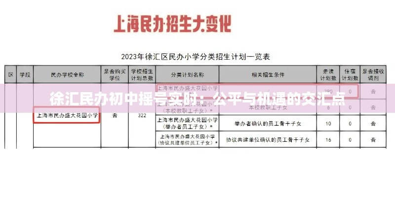 徐汇民办初中摇号实时：公平与机遇的交汇点