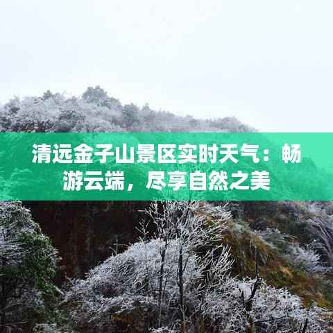 清远金子山景区实时天气：畅游云端，尽享自然之美