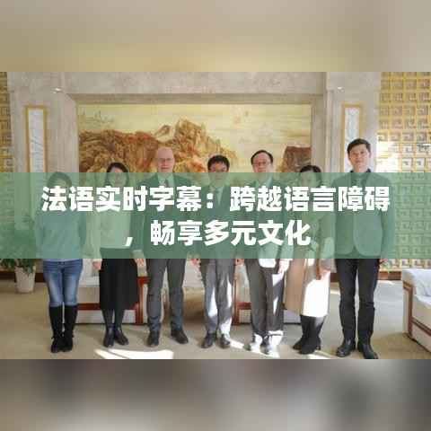 法语实时字幕：跨越语言障碍，畅享多元文化