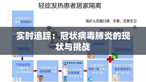 实时追踪：冠状病毒肺炎的现状与挑战