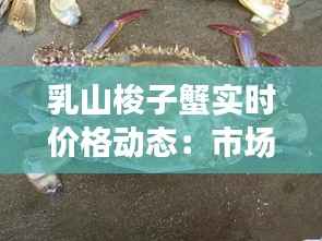 乳山梭子蟹实时价格动态：市场波动下的鲜美追求
