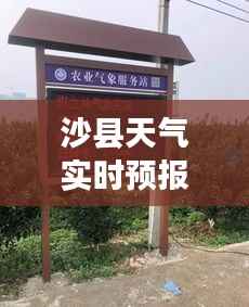沙县天气实时预报查询表：全方位掌握沙县天气动态