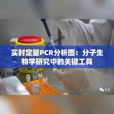 实时定量PCR分析图：分子生物学研究中的关键工具