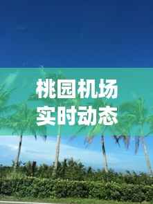 桃园机场实时动态查询：您的出行助手