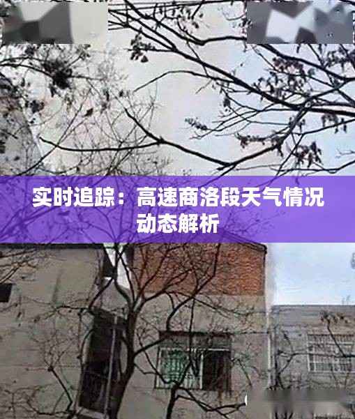 实时追踪：高速商洛段天气情况动态解析