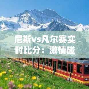 尼斯vs凡尔赛实时比分：激情碰撞，谁将笑到最后？