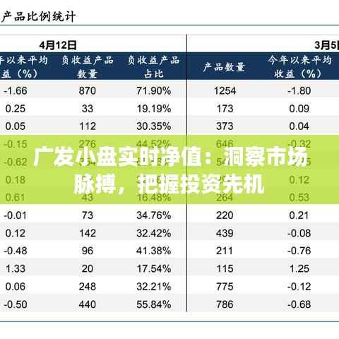 广发小盘实时净值：洞察市场脉搏，把握投资先机