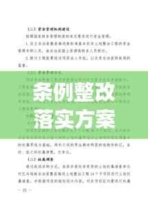 条例整改落实方案，构建高效执行力的核心路径
