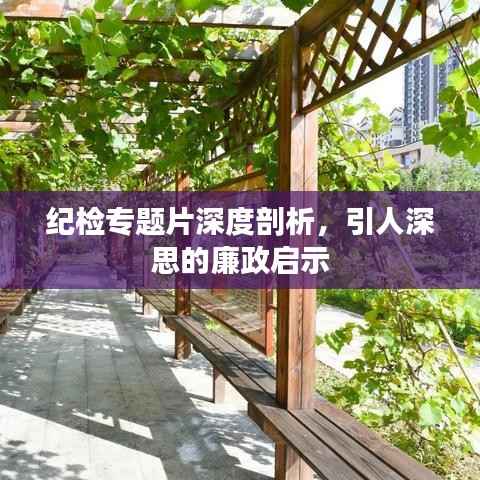 纪检专题片深度剖析，引人深思的廉政启示