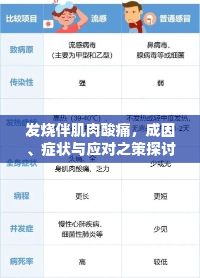 发烧伴肌肉酸痛，成因、症状与应对之策探讨