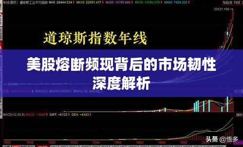 美股熔断频现背后的市场韧性深度解析