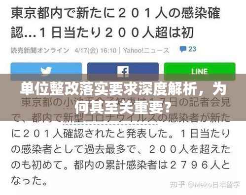 单位整改落实要求深度解析，为何其至关重要？