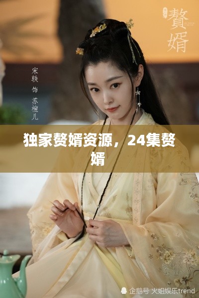独家赘婿资源，24集赘婿 
